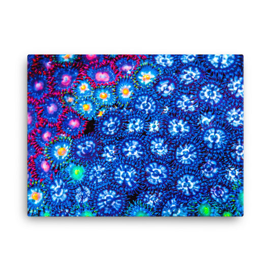 Winter Florals - Canvas - Coral Reef Photography Art