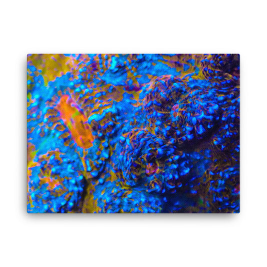 Martian Tundra - Canvas - Coral Reef Photography Art