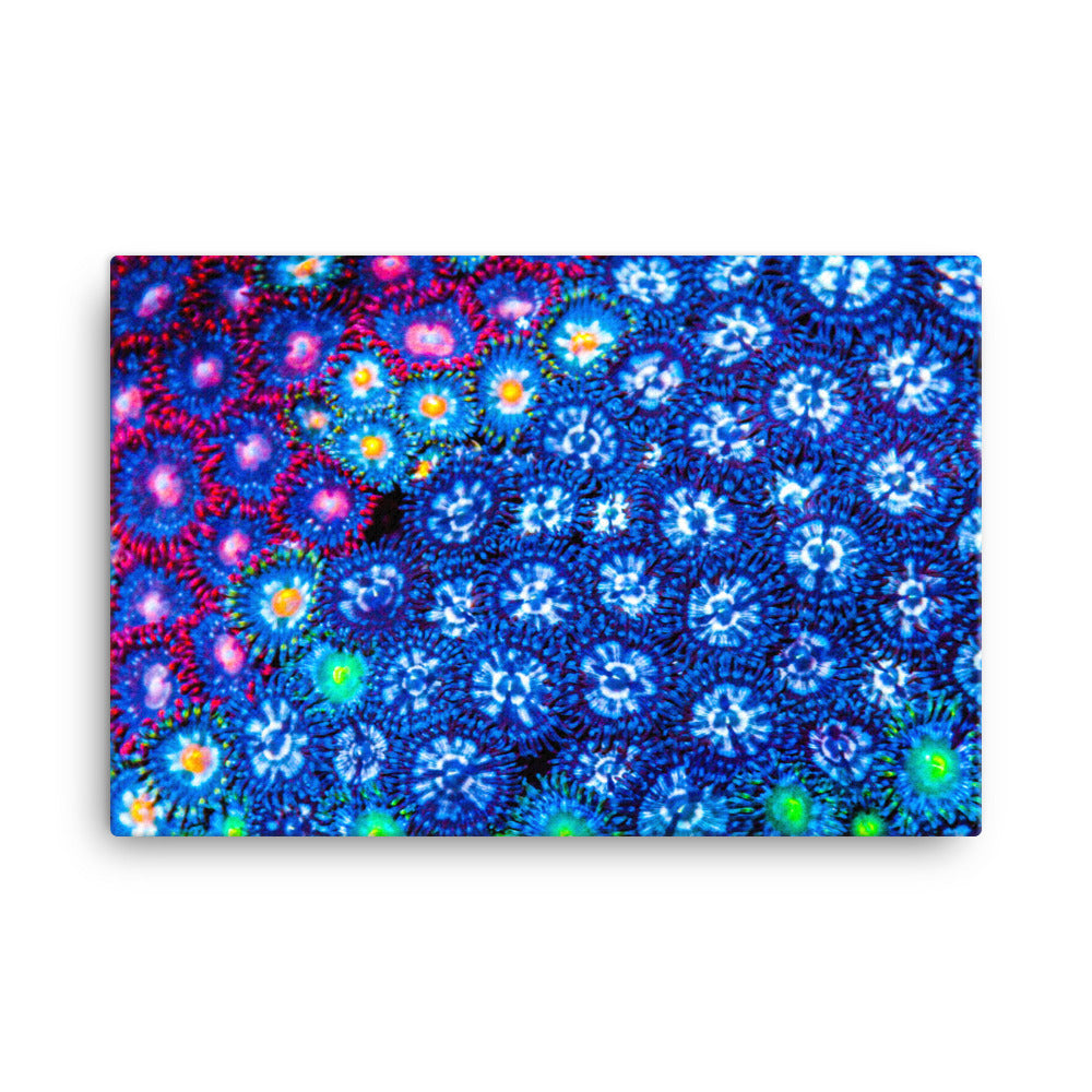 Winter Florals - Canvas - Coral Reef Photography Art