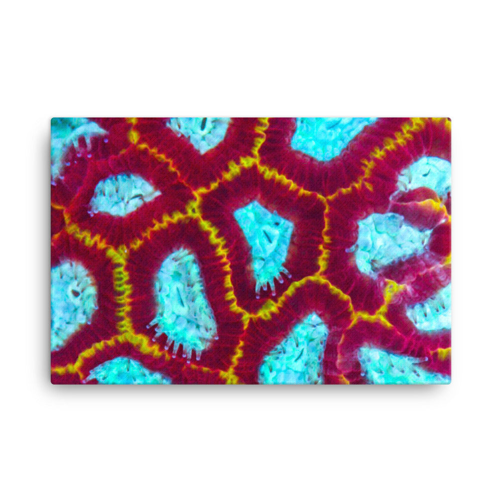 Arc Reactor - Canvas - Coral Reef Photography Art