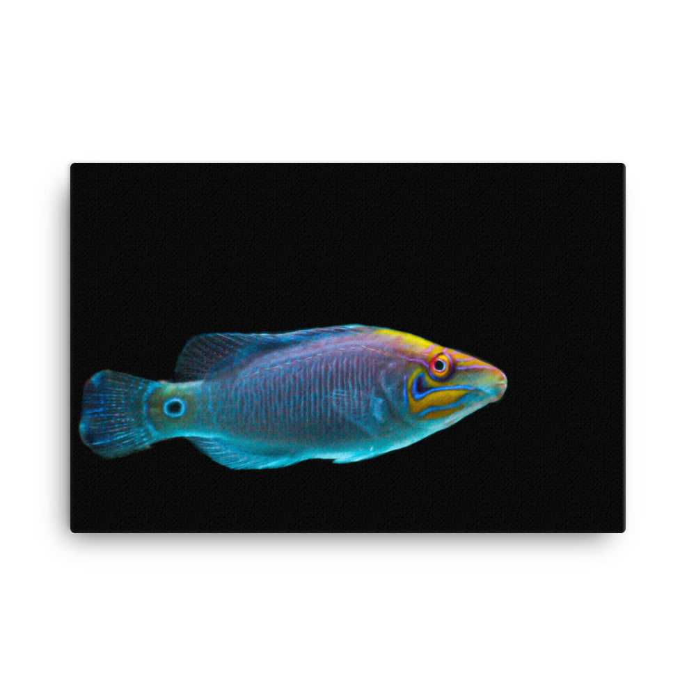 Fluores-Face - Canvas - Coral Reef Photography Art