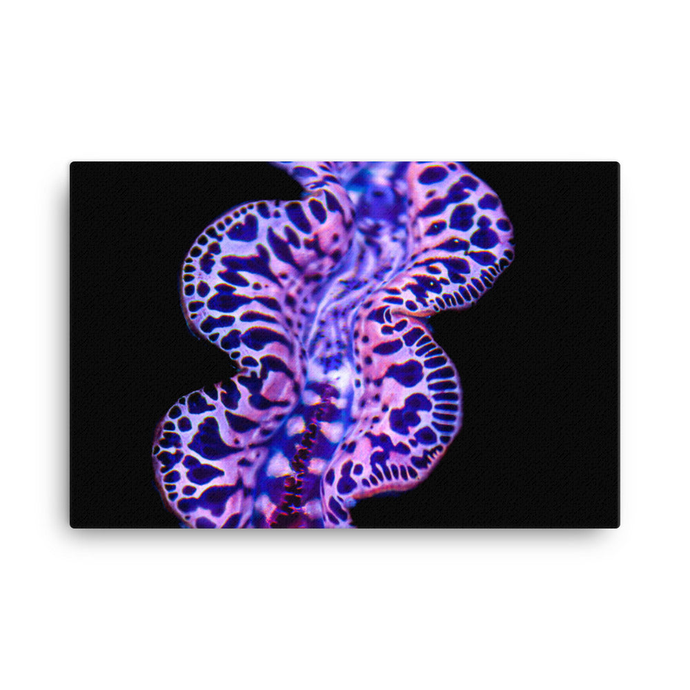 Plasma Portal - Canvas - Coral Reef Photography Art