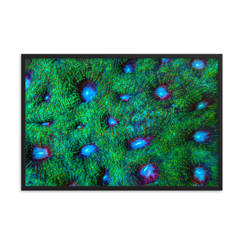 Land Of Ten Thousand Lakes - Framed Fine Art Print - Coral Reef Photography Art