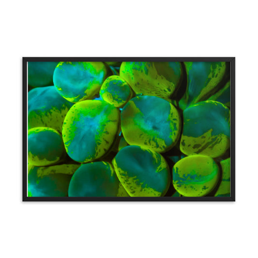Toxic Spill - Framed Fine Art Print - Coral Reef Photography Art