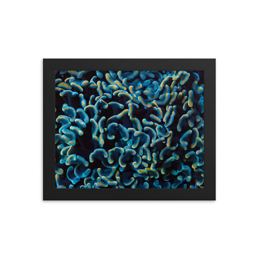 Below The Horizon - Framed Fine Art Print - Coral Reef Photography Art