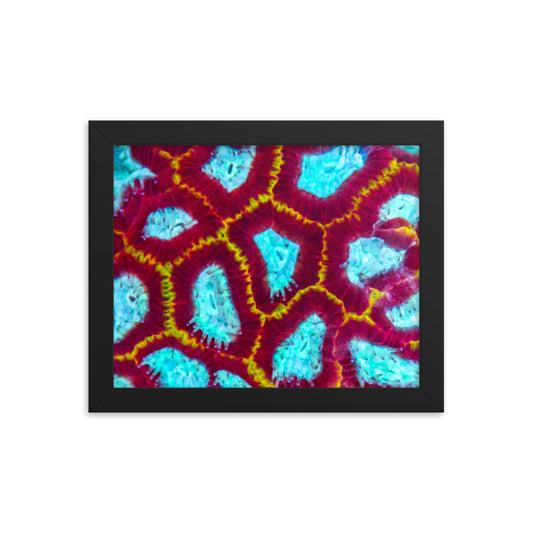 Arc Reactor - Framed Fine Art Print - Coral Reef Photography Art