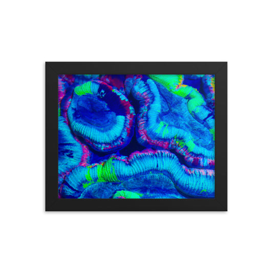 Rave Paint - Framed Fine Art Print - Coral Reef Photography Art