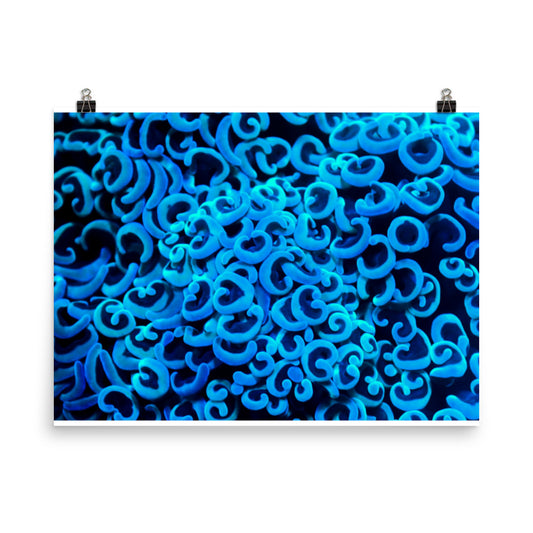 Photo paper poster