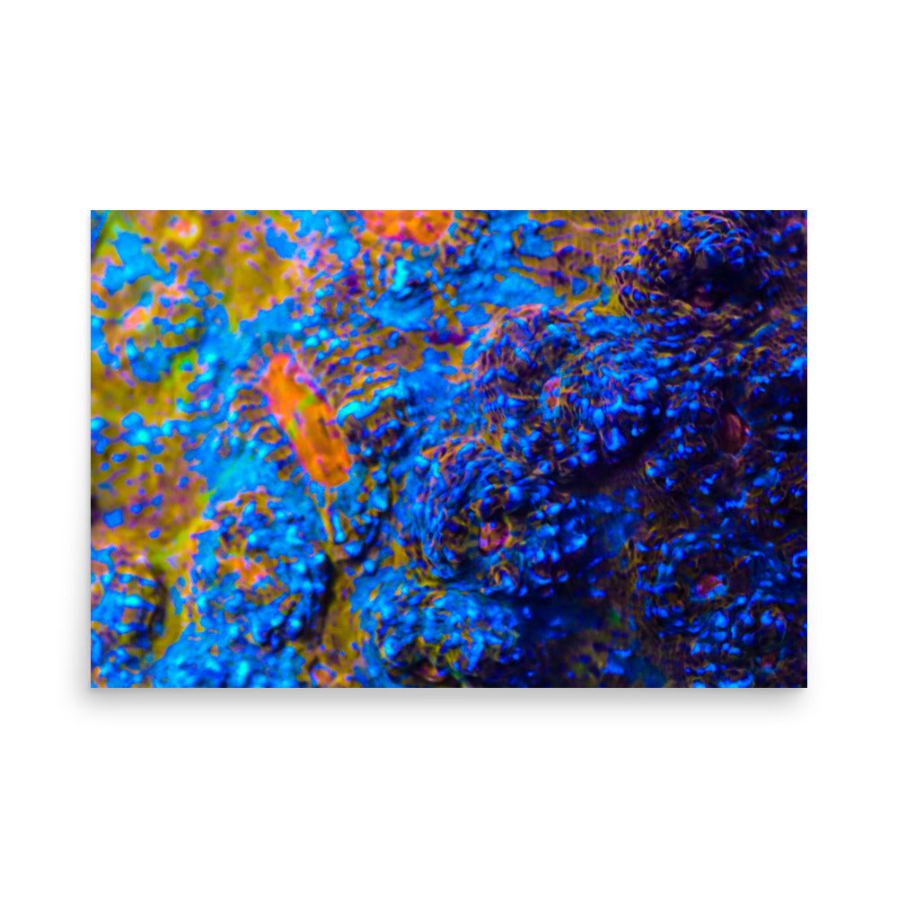 Martian Tundra - Fine Art Print - Coral Reef Photography Art