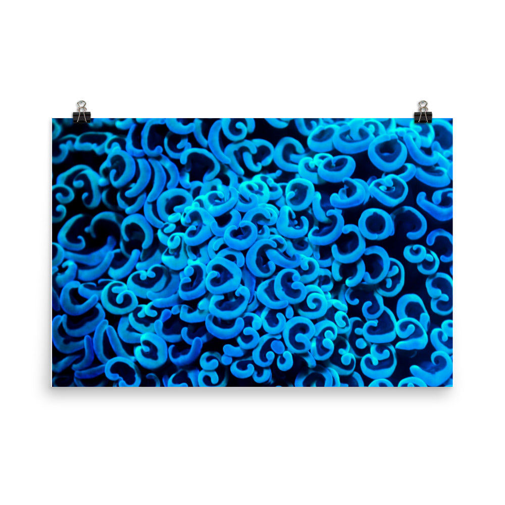 Photo paper poster