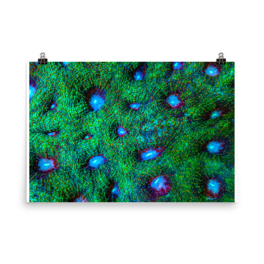 Land Of Ten Thousand Lakes - Fine Art Print - Coral Reef Photography Art