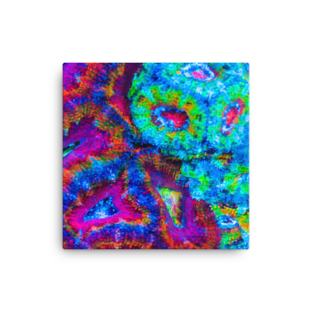 DreamWeaver  - Canvas - Coral Reef Photography Art