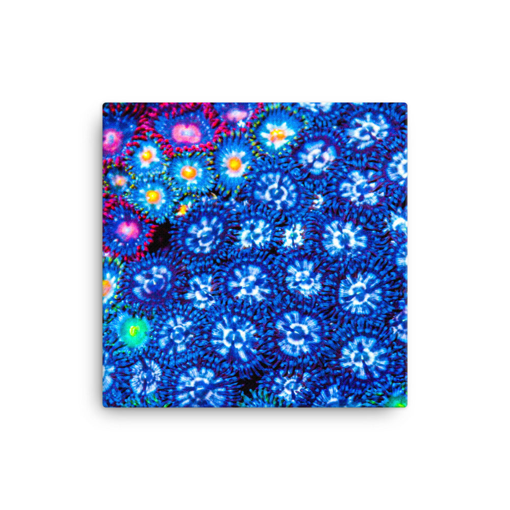 Winter Florals  - Canvas - Coral Reef Photography Art
