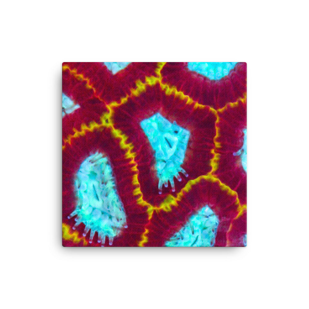 Arc Reactor - Canvas - Coral Reef Photography Art