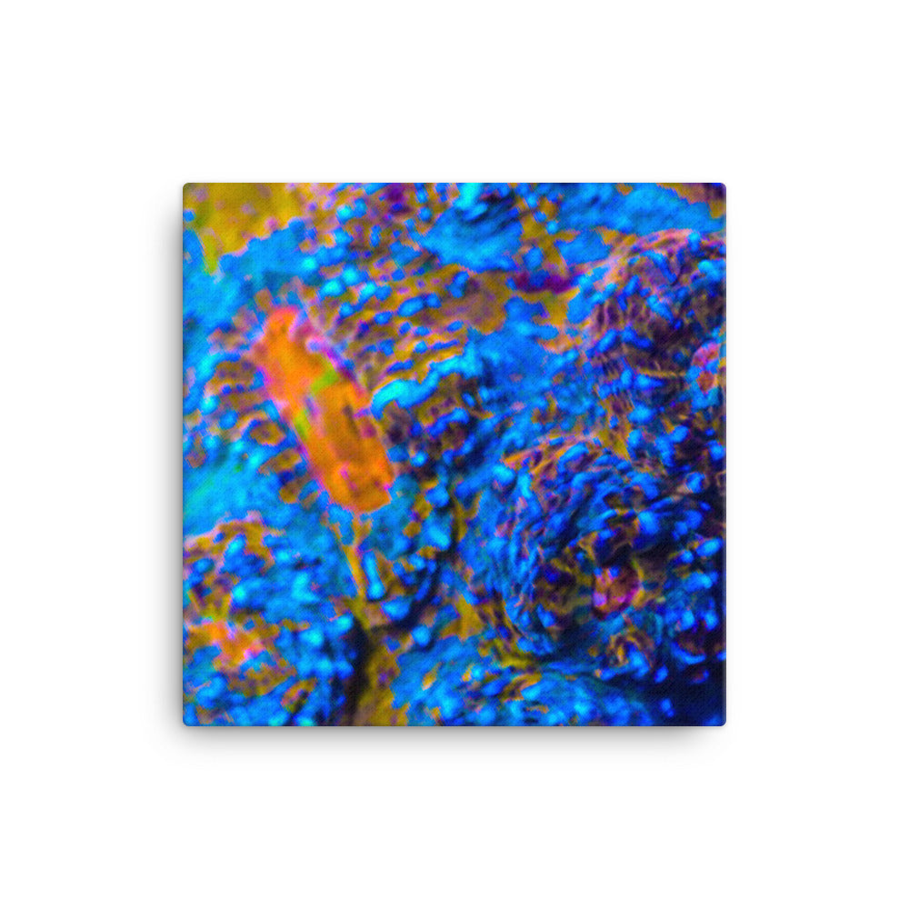 Martian Tundra - Canvas - Coral Reef Photography Art