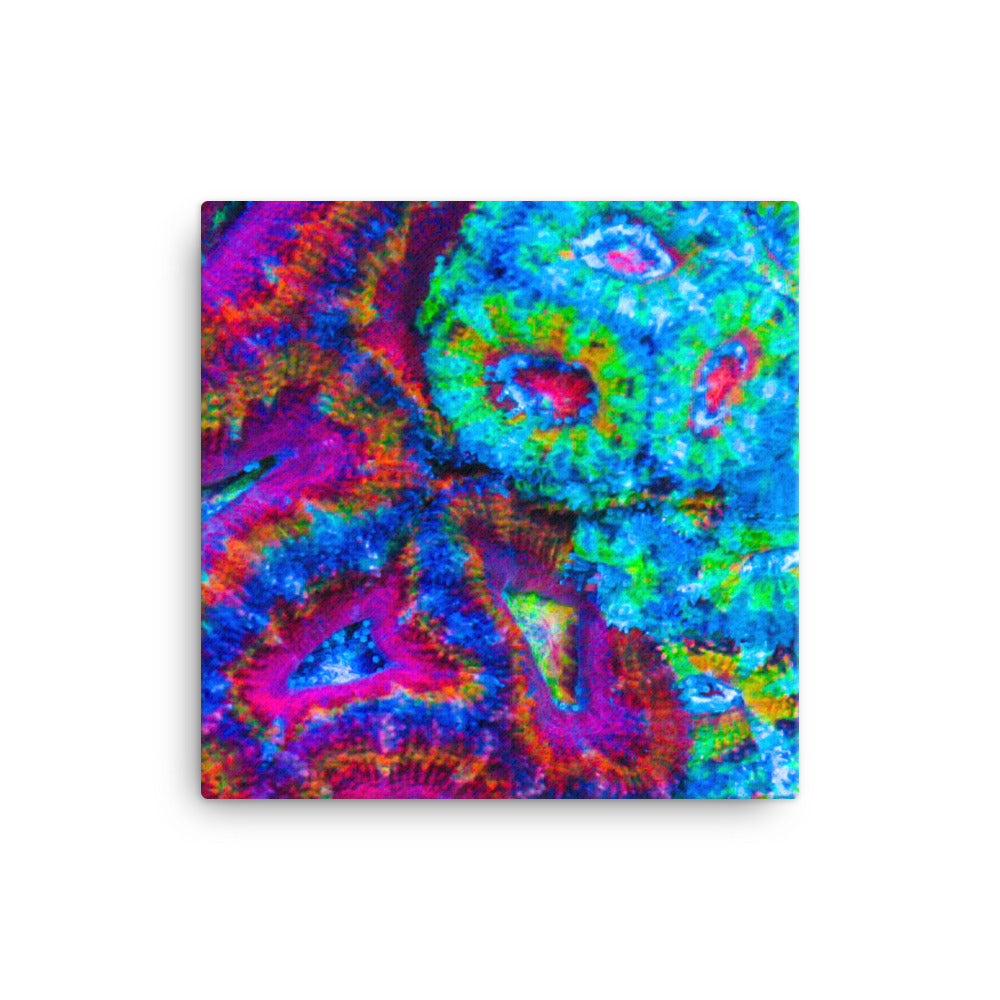 DreamWeaver  - Canvas - Coral Reef Photography Art