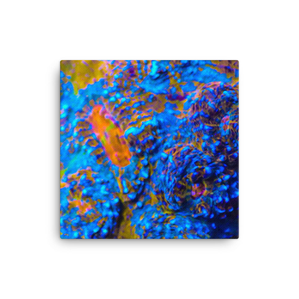 Martian Tundra - Canvas - Coral Reef Photography Art