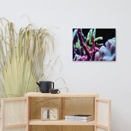 Fairy Garden  - Canvas - Coral Reef Photography Art