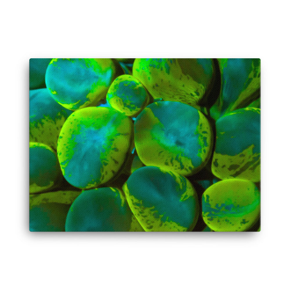 Toxic Spill  - Canvas - Coral Reef Photography Art