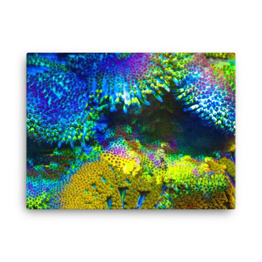 Shades Of Madness - Canvas - Coral Reef Photography Art