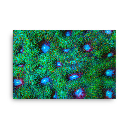 Land Of Ten Thousand Lakes - Canvas - Coral Reef Photography Art