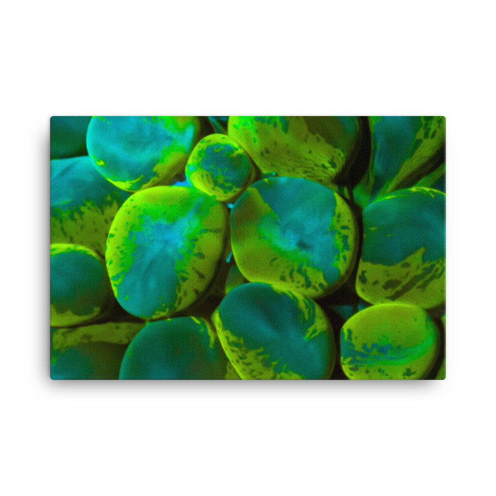 Toxic Spill  - Canvas - Coral Reef Photography Art