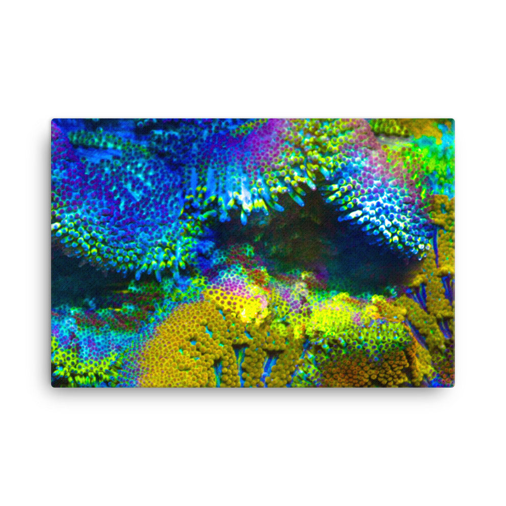 Shades Of Madness - Canvas - Coral Reef Photography Art