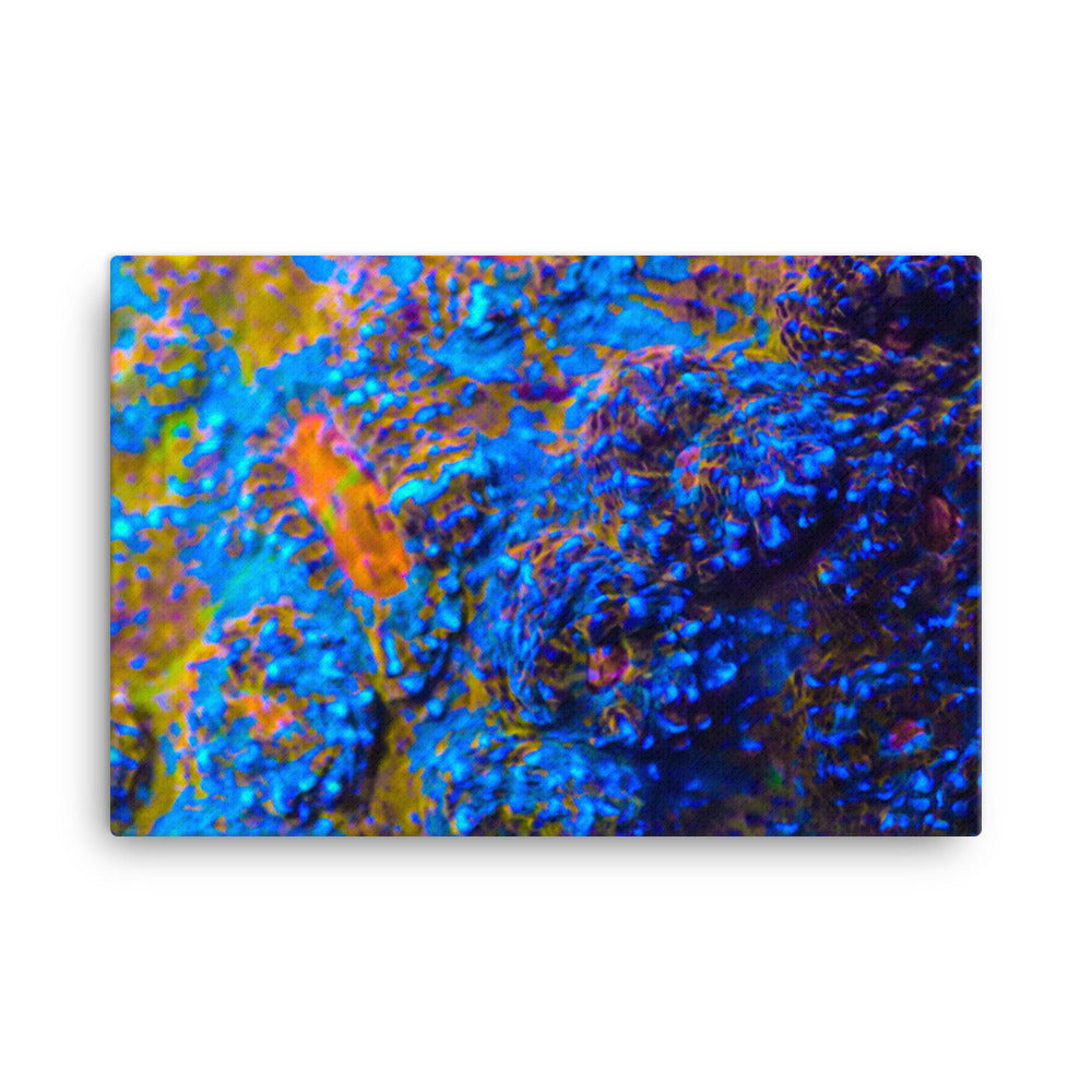 Martian Tundra - Canvas - Coral Reef Photography Art