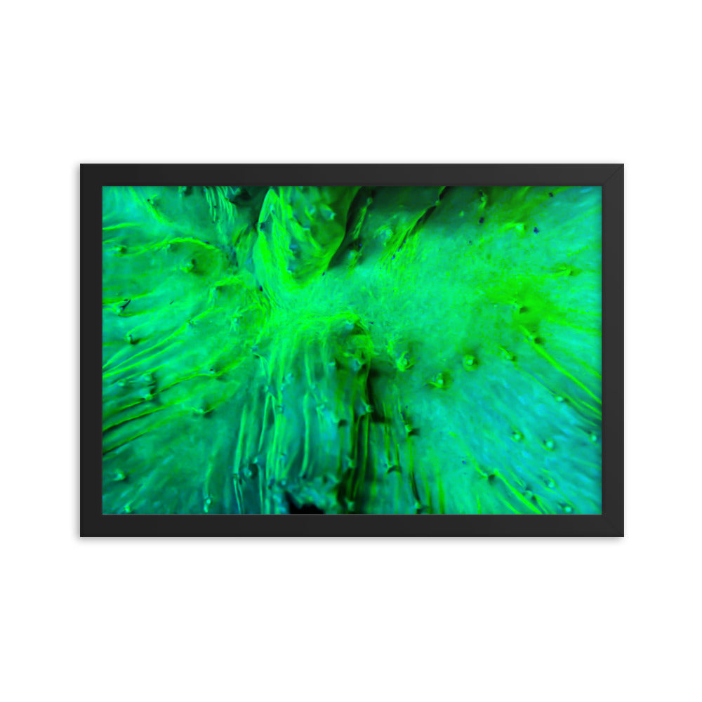 Wrinkle in Lime - Framed Fine Art Print