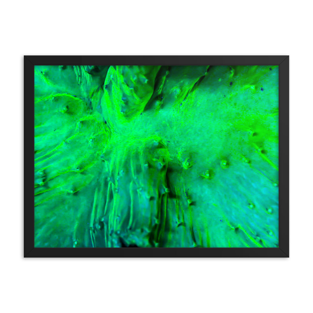 Wrinkle in Lime - Framed Fine Art Print