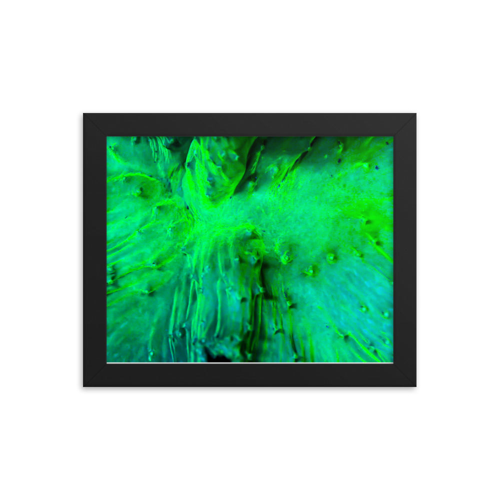 Wrinkle in Lime - Framed Fine Art Print