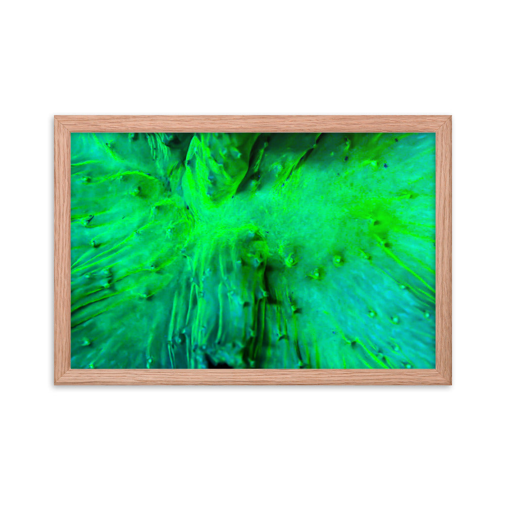 Wrinkle in Lime - Framed Fine Art Print