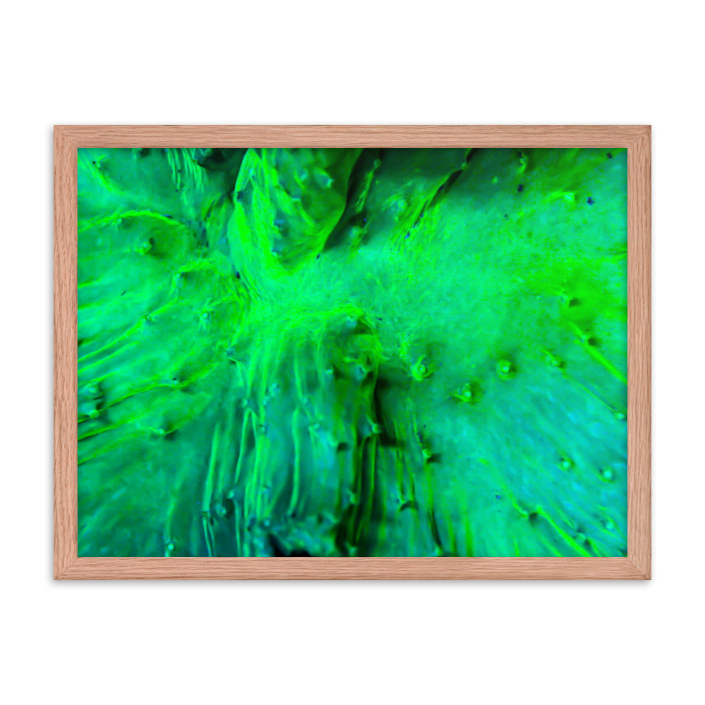 Wrinkle in Lime - Framed Fine Art Print