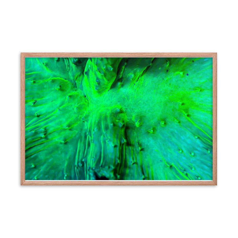 Wrinkle in Lime - Framed Fine Art Print