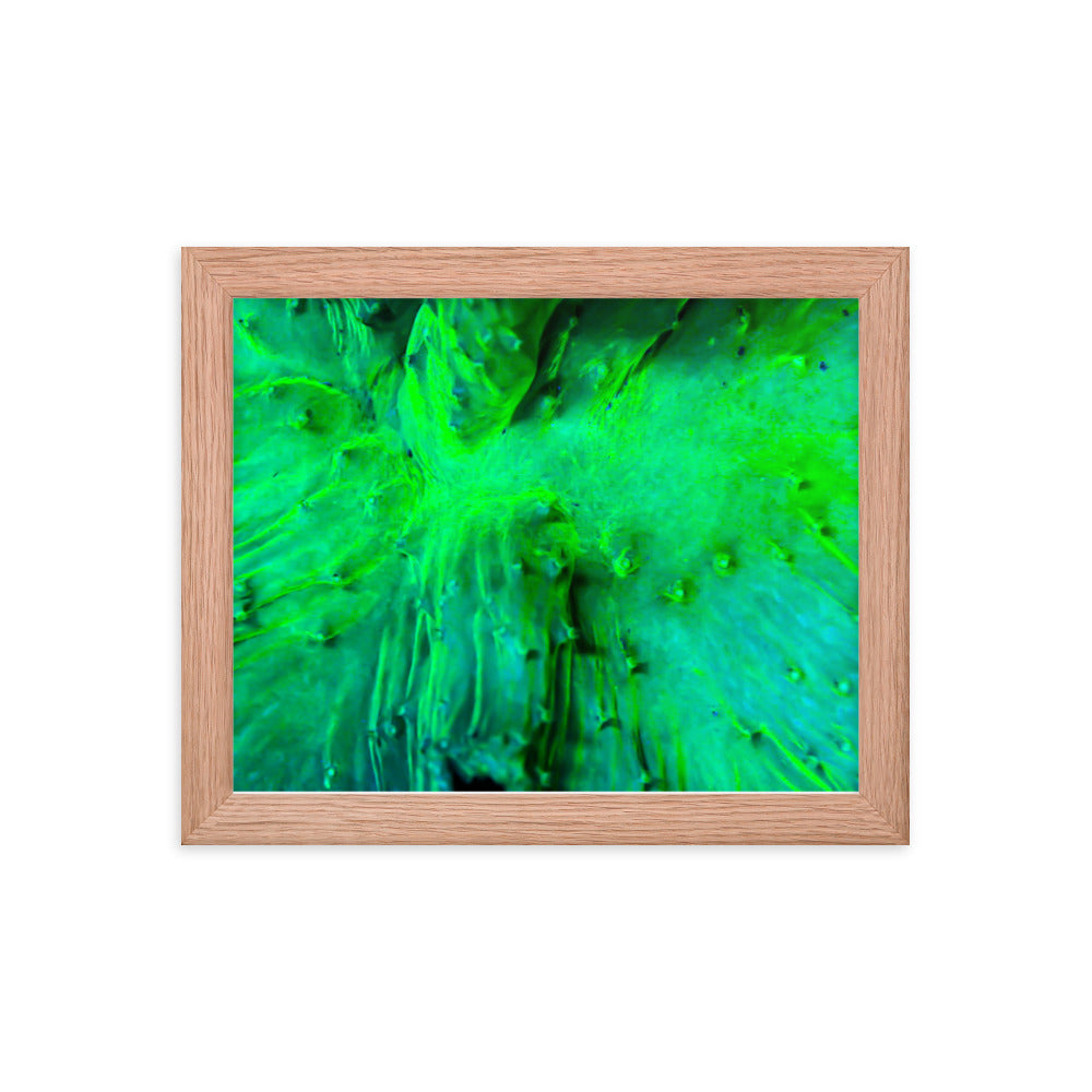 Wrinkle in Lime - Framed Fine Art Print