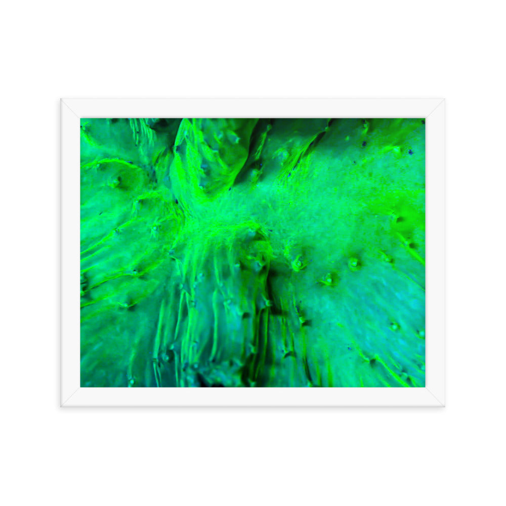 Wrinkle in Lime - Framed Fine Art Print