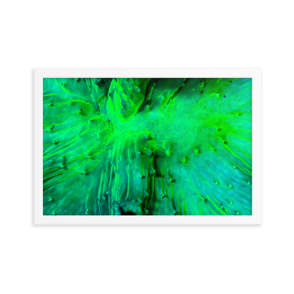 Wrinkle in Lime - Framed Fine Art Print