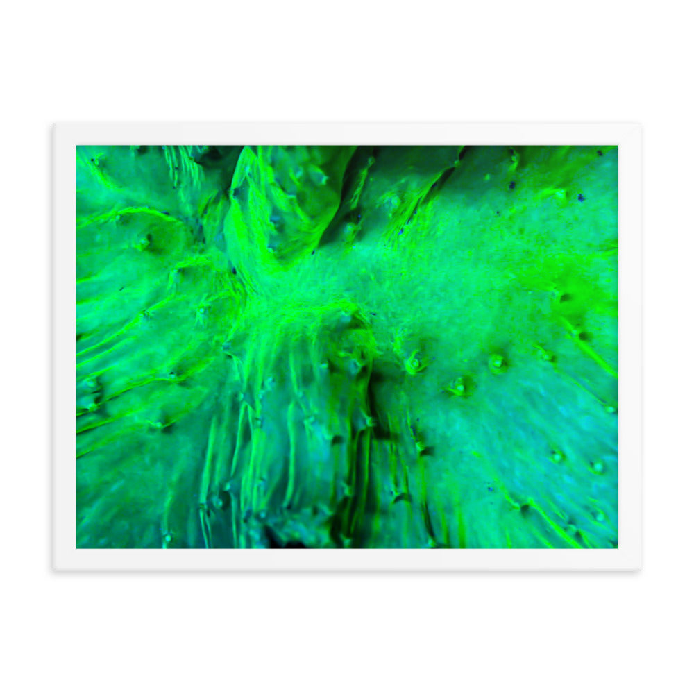 Wrinkle in Lime - Framed Fine Art Print