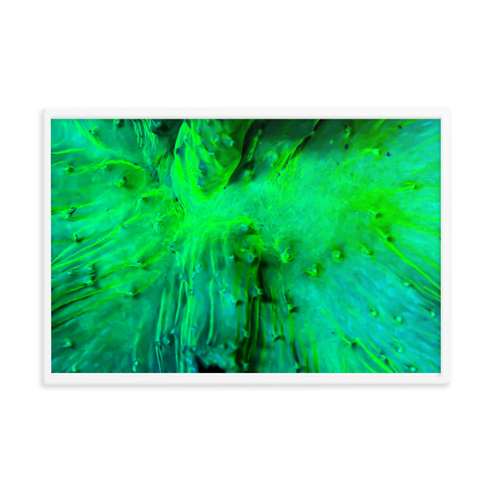 Wrinkle in Lime - Framed Fine Art Print