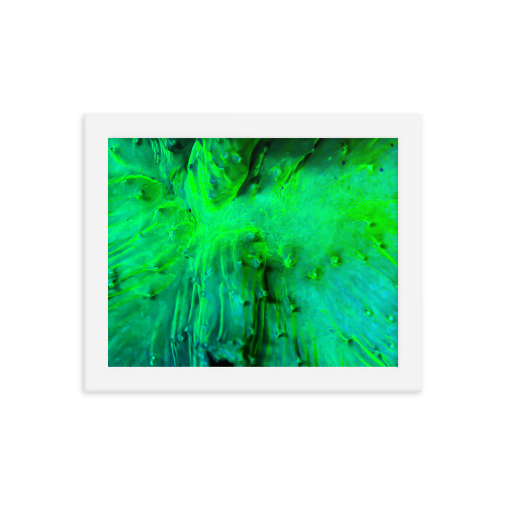 Wrinkle in Lime - Framed Fine Art Print
