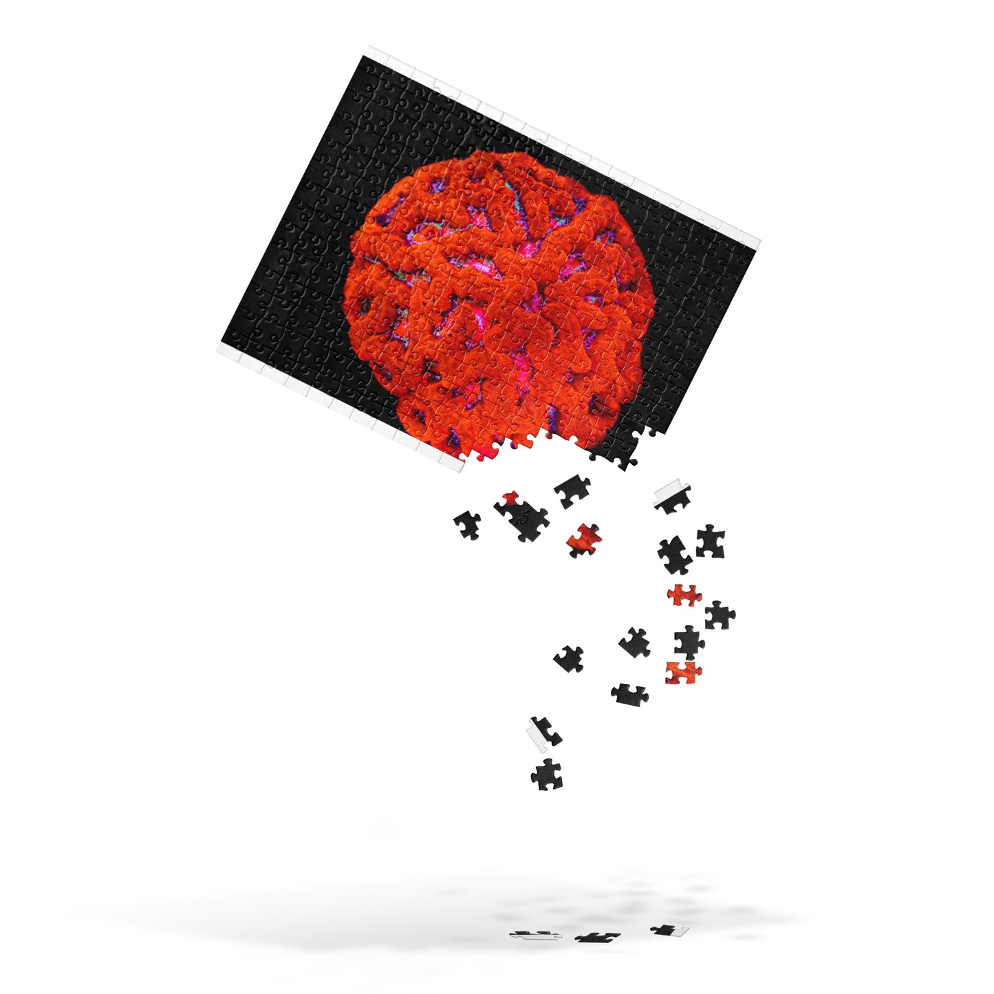 Coral Reef Inspired Puzzle - Mars' Craniology