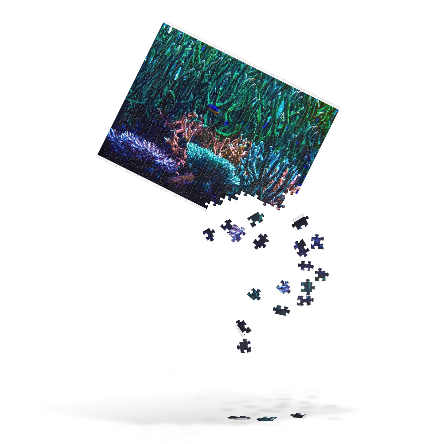 Coral Reef Puzzle - Limestone Forest