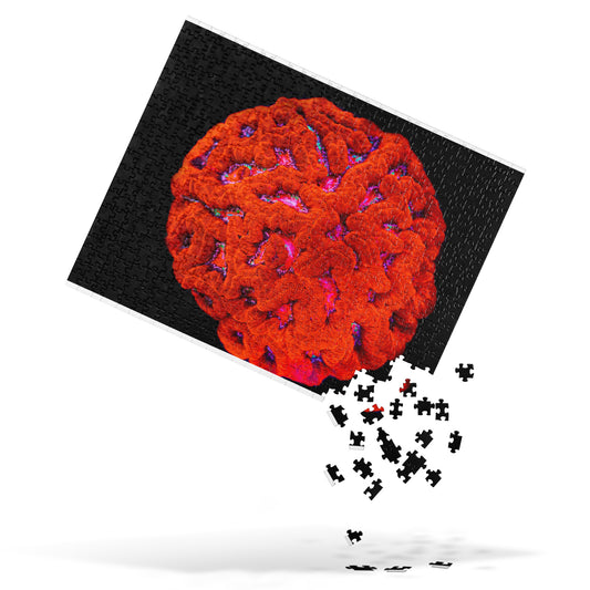 Coral Reef Inspired Puzzle - Mars' Craniology