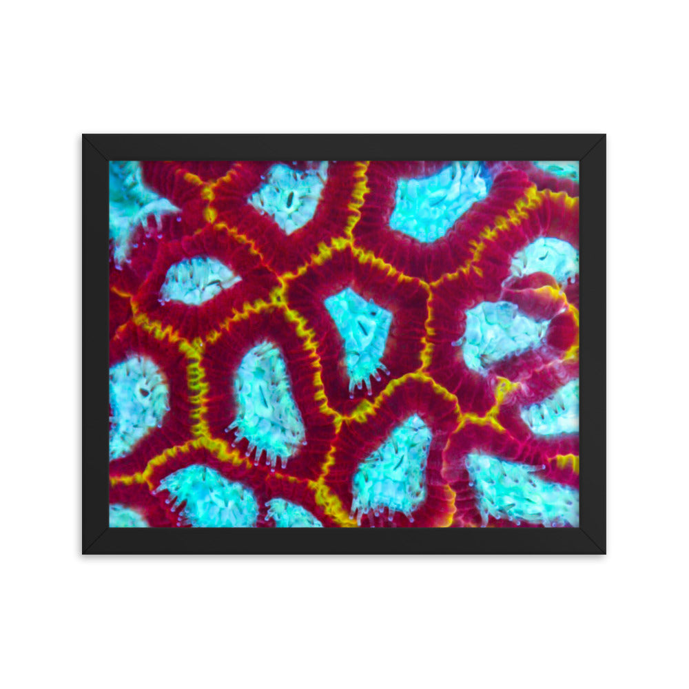 Arc Reactor - Framed Fine Art Print - Coral Reef Photography Art