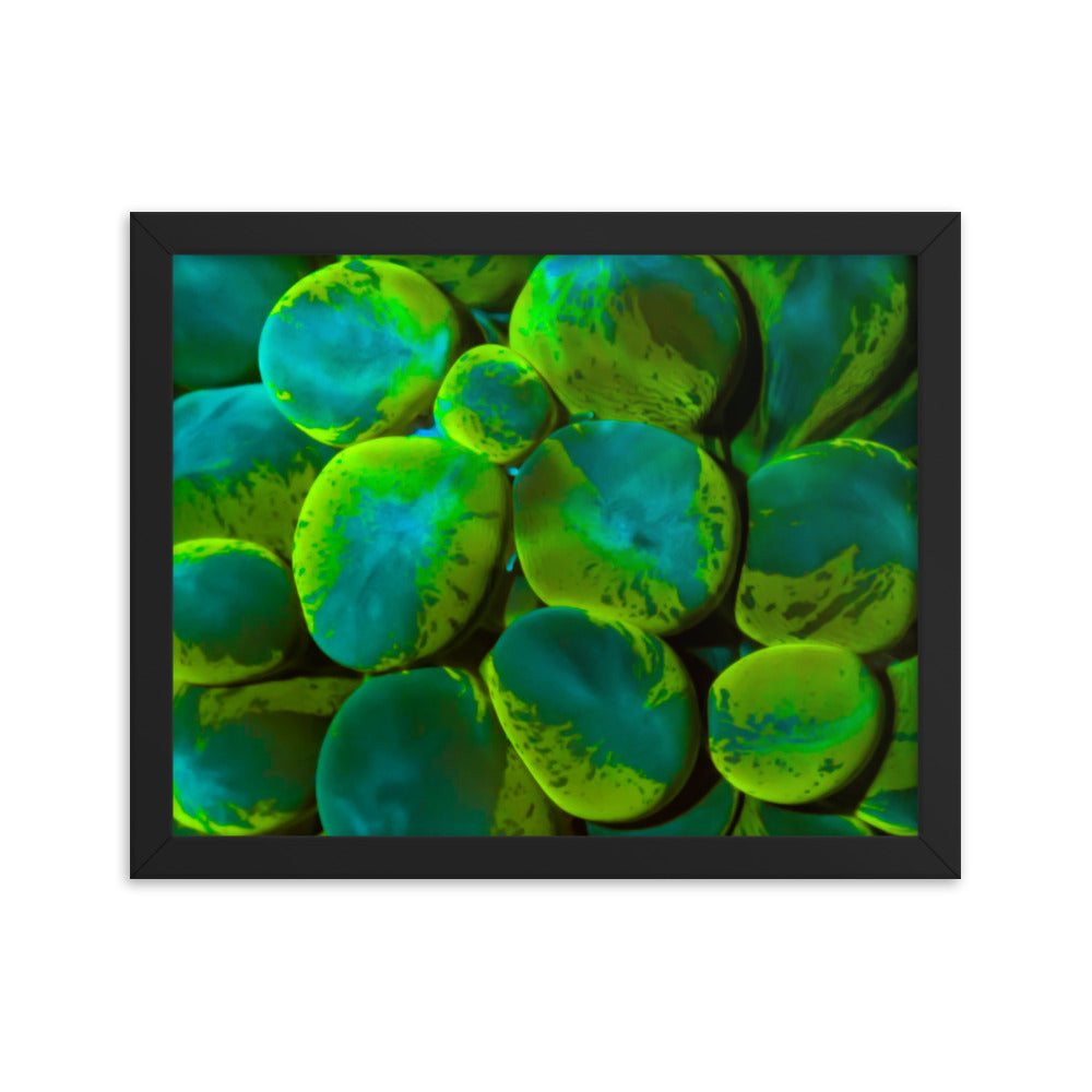 Toxic Spill  - Framed Fine Art Print - Coral Reef Photography Art