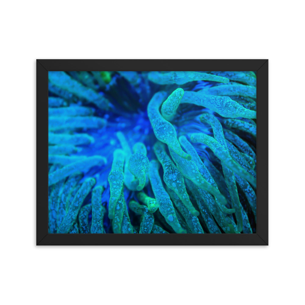 Acid Locs  - Framed Fine Art Print - Coral Reef Photography Art