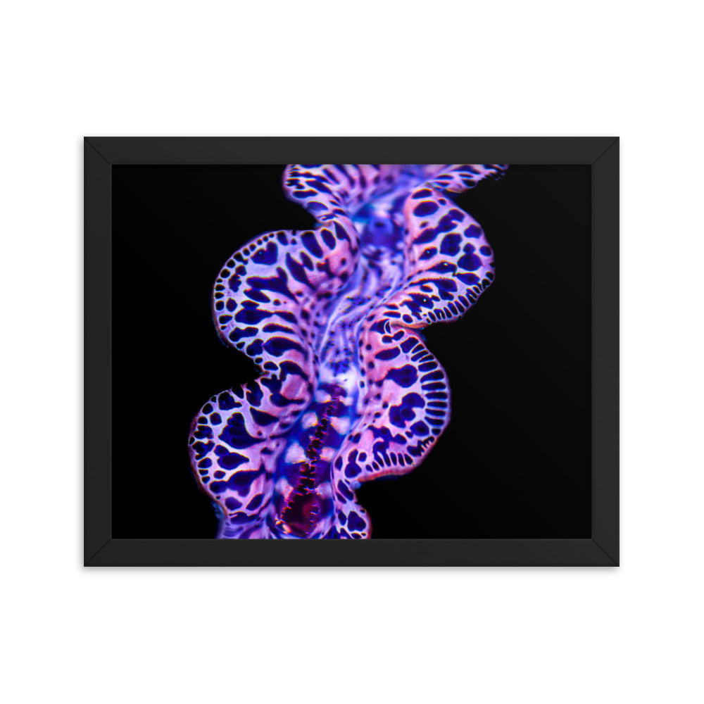 Plasma Portal - Framed Fine Art Print - Coral Reef Photography Art