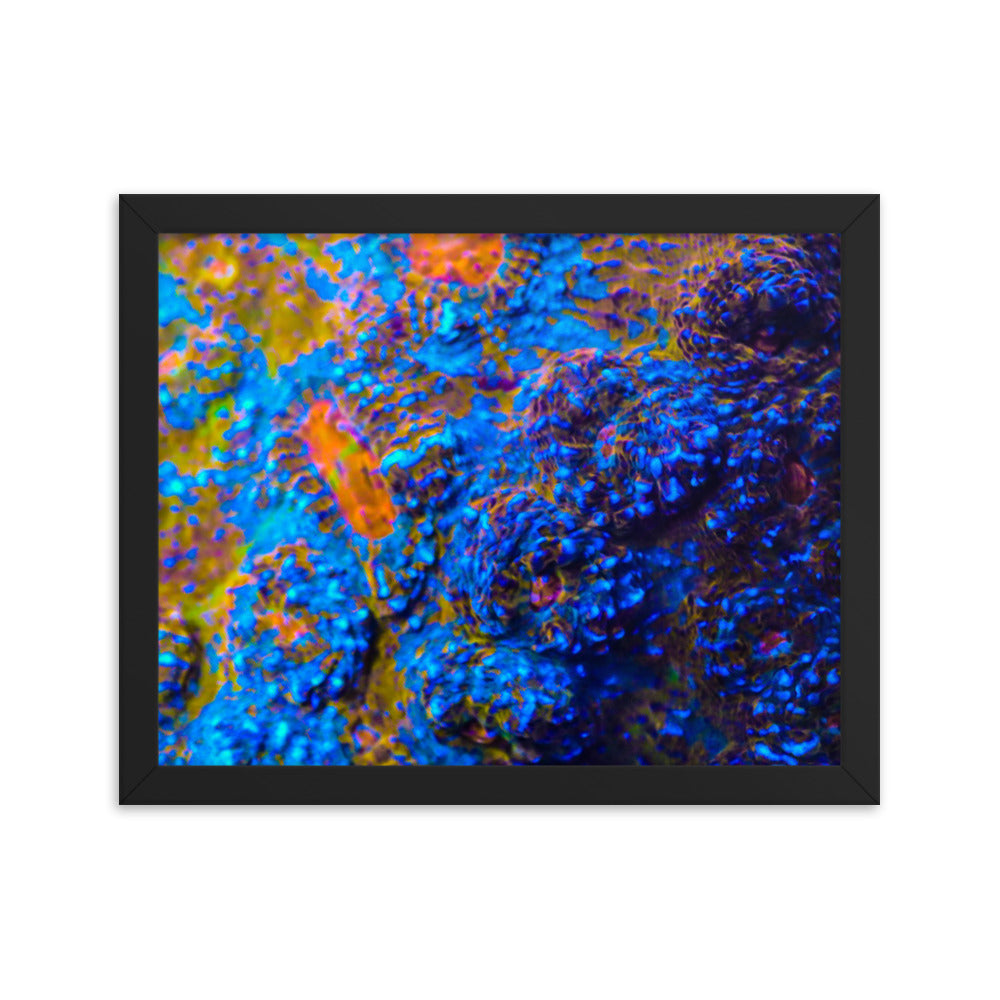Martian Tundra - Framed Fine Art Print - Coral Reef Photography Art
