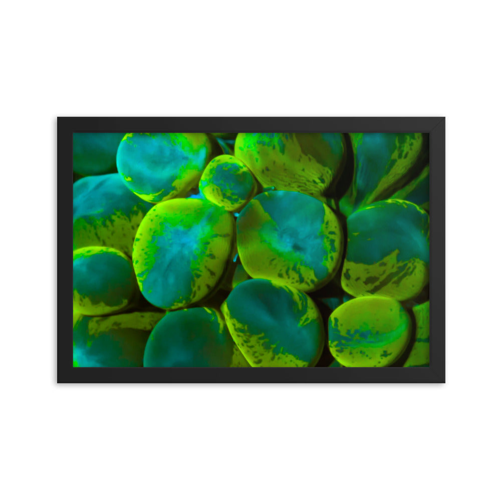 Toxic Spill  - Framed Fine Art Print - Coral Reef Photography Art