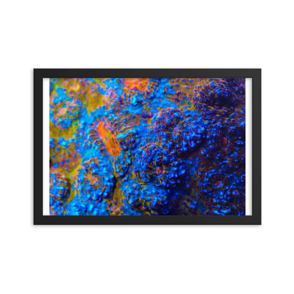 Martian Tundra - Framed Fine Art Print - Coral Reef Photography Art